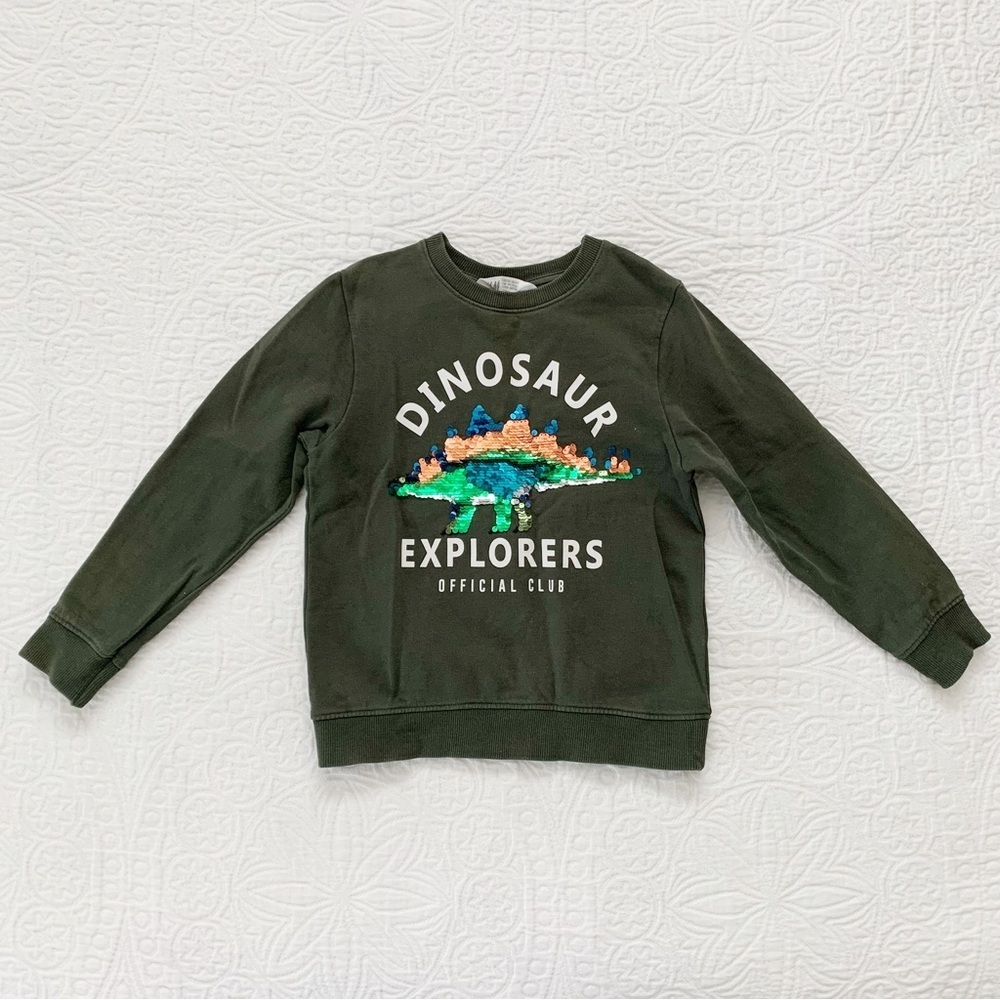 H&M Boys' Dinosaur Explorers Flip Sequin Sweatshirt (4-6 Years)